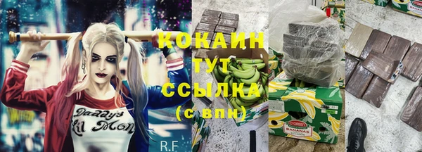 крисы Баксан