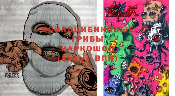 крисы Баксан