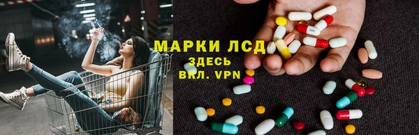 крисы Баксан