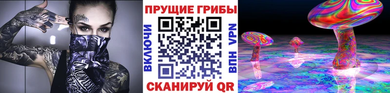 гидра онион Гай Галлюциногенные грибы мицелий хочу