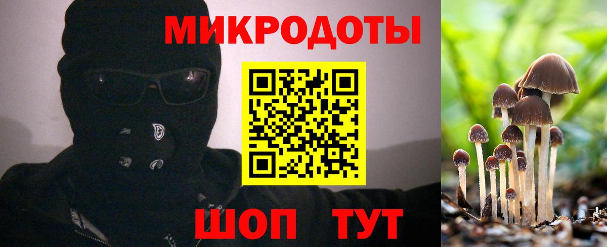 Гай  Галлюциногенные грибы прущие грибы  Вход с VPN 